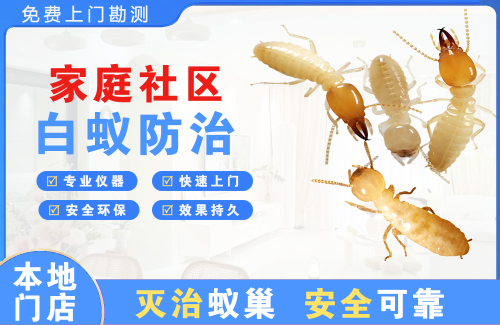 北流家庭社区白蚁防治