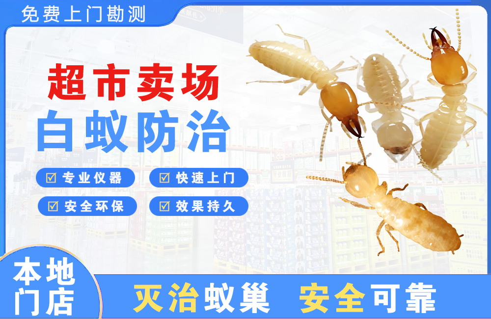 北流超市卖场白蚁防治