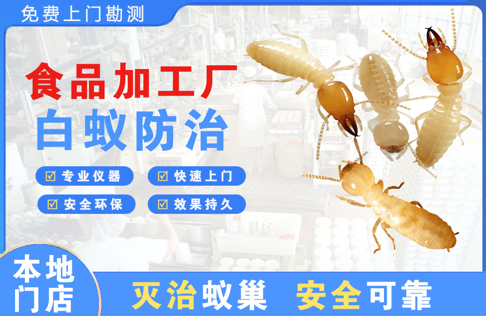 北流食品加工厂白蚁防治