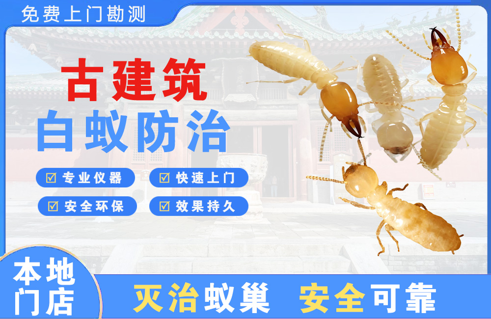 北流古建筑白蚁防治