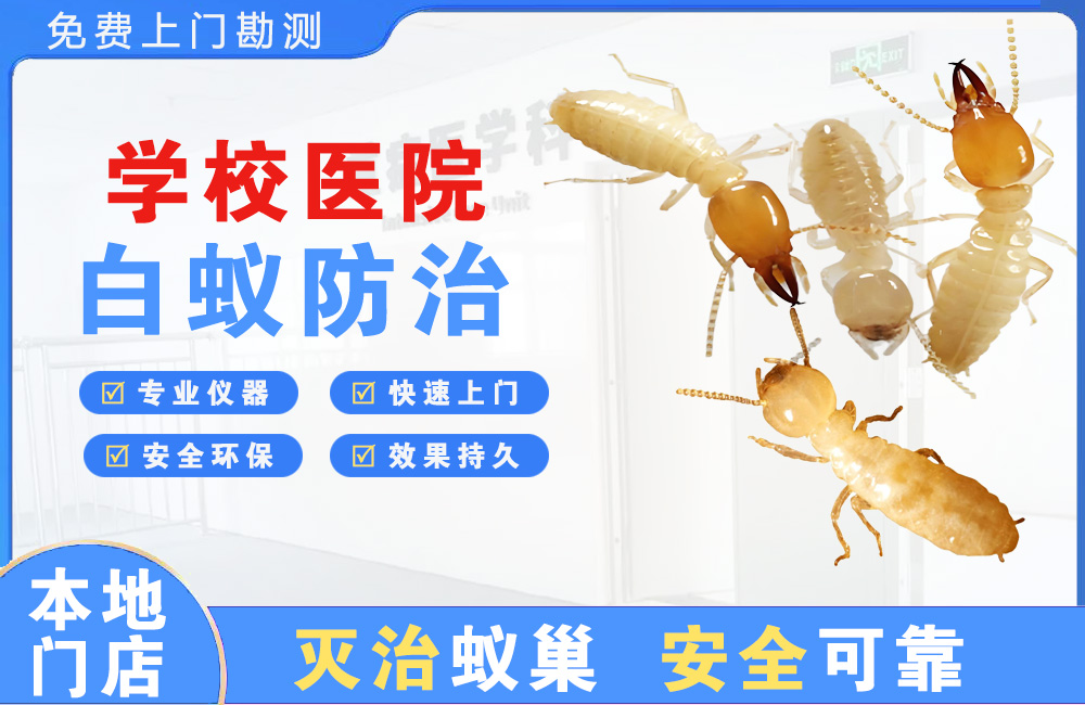 北流学校医院白蚁防治